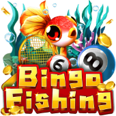 Bingo Fishing related game